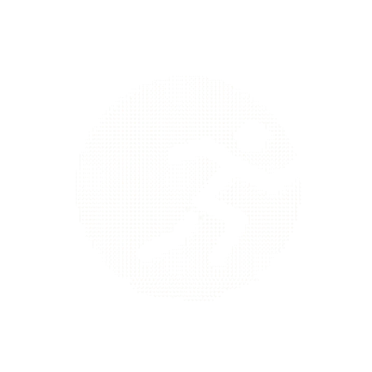 Знак Dynamica